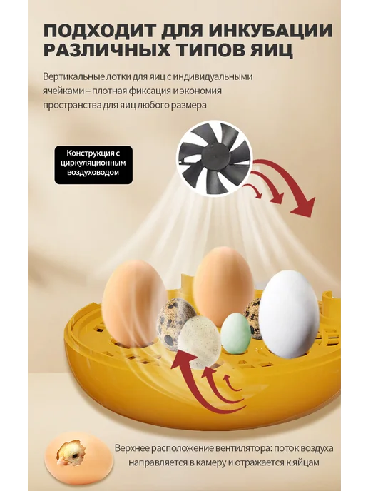 Домашний автоматический инкубатор, желтый, фото 6