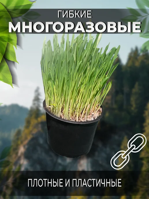 Центр-Микрозелени Горшок для микрозелени и рассады D10X8, 5 шт, 10x8, 20 шт, фото 4