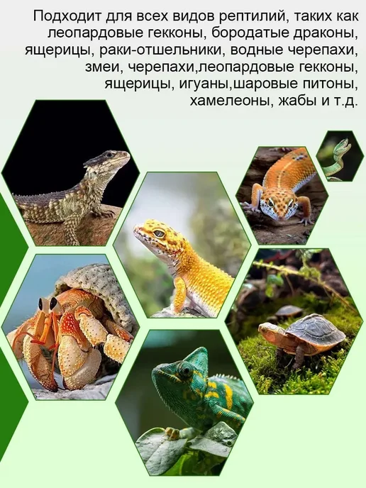 Коврик для террариума подложка для рептилий черепах, черный, фото 7