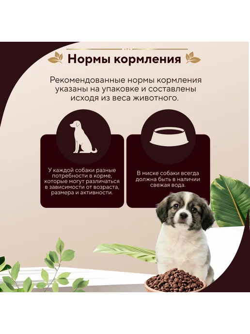 Сухой корм pro dog Здорового для собак, щенки, 0,5 кг, фото 5