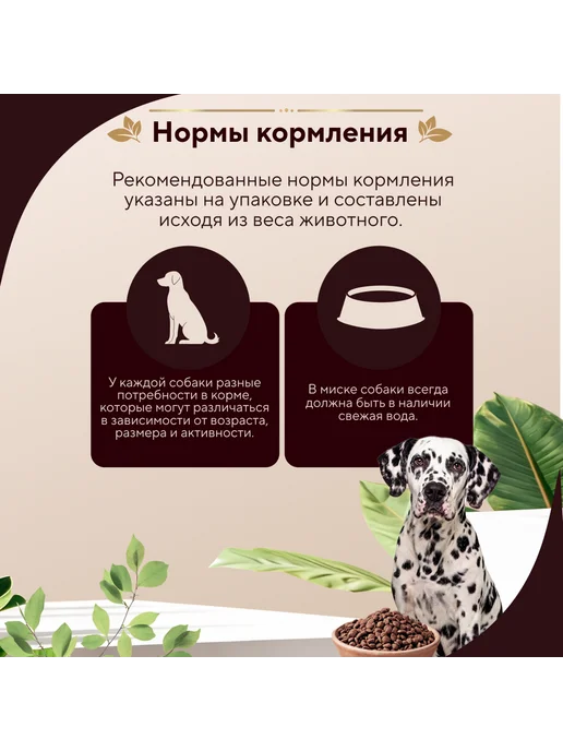 Сухой корм pro dog Нормальной для собак, крупные, 12 кг, фото 4