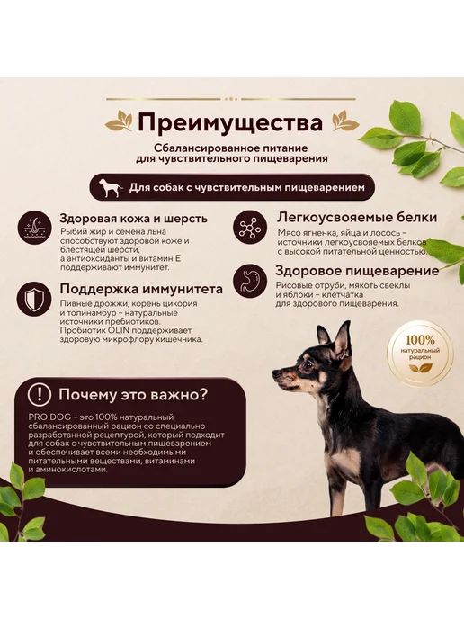 Сухой корм pro dog для собак, мелкие, 0,5 кг, фото 2