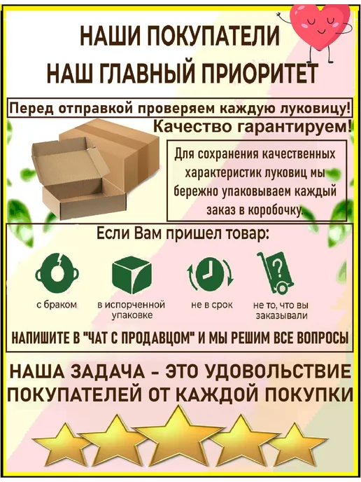 Луковицы тюльпана Дарвинов гибрид Гарант 7 шт, 5 шт, фото 6
