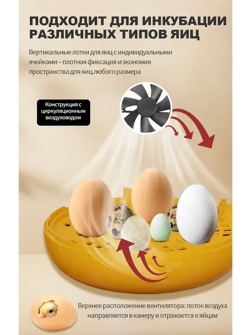 Автоматический инкубатор для яиц, вариант, фото 6