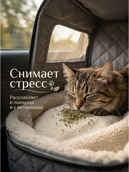 Мята кошачья 20гр, 20 г, фото 7