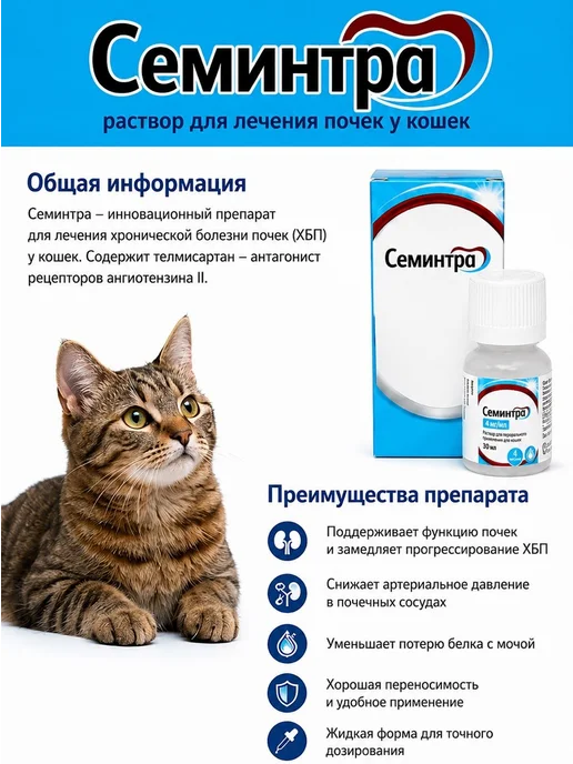 Семинтра, вариант, фото 3