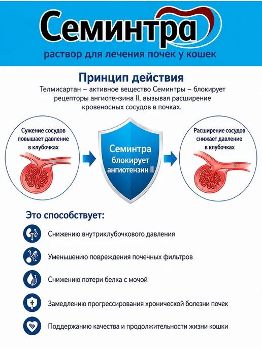 Семинтра, вариант, фото 4