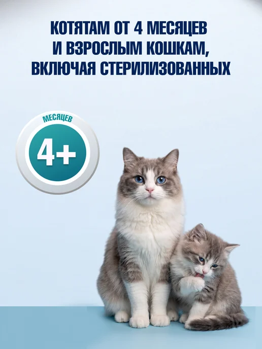 PERFECT FIT Лакомство для кошек от зубного налета и запаха изо рта, 3шт, 2 шт, фото 7
