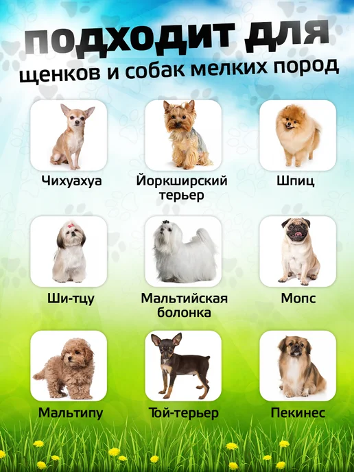 Tooth for tooth Игрушка радуга для собак с колокольчиком, тапочка, фото 4
