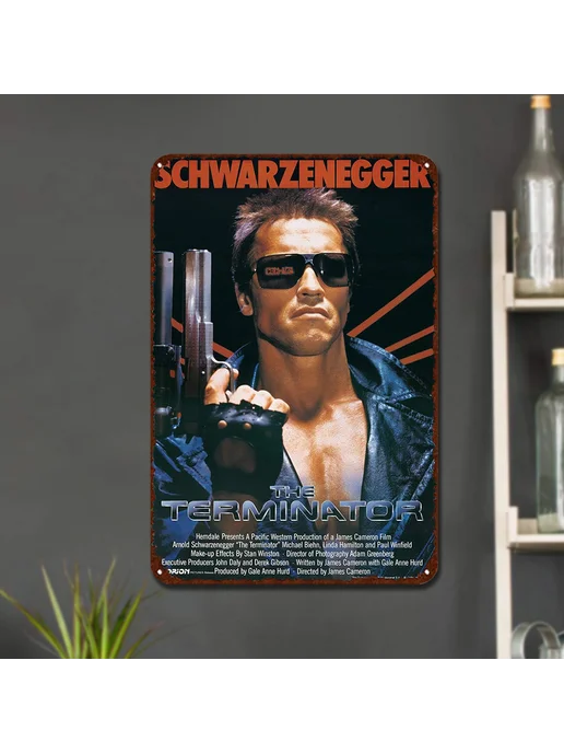 Табличка Metal Terminator 20x30 см для дома, 20x30 см, фото 3