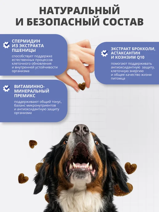 BEST PETS Витамины для собак с пивными дрожжами для обновления клеток, вариант, фото 3