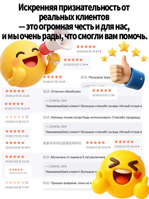 Karcher Пароочиститель для дома для уборки мощный с насадками ручной, белый, фото 2