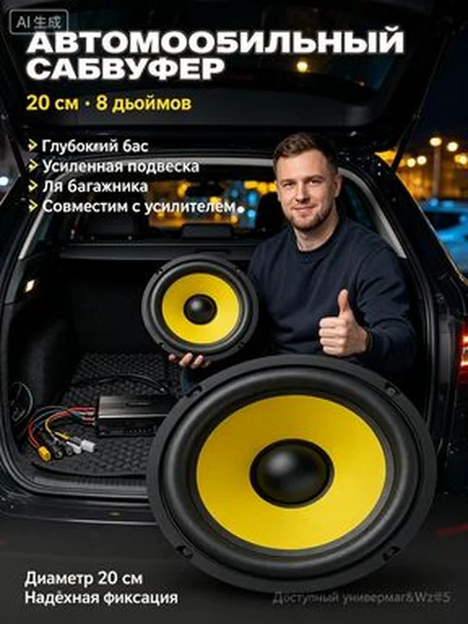 Автомобильный пассивный сабвуфер 20 см, вариант