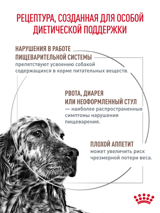 Сухой корм Royal canin Набор Влажный для собак, 2 кг, фото 3