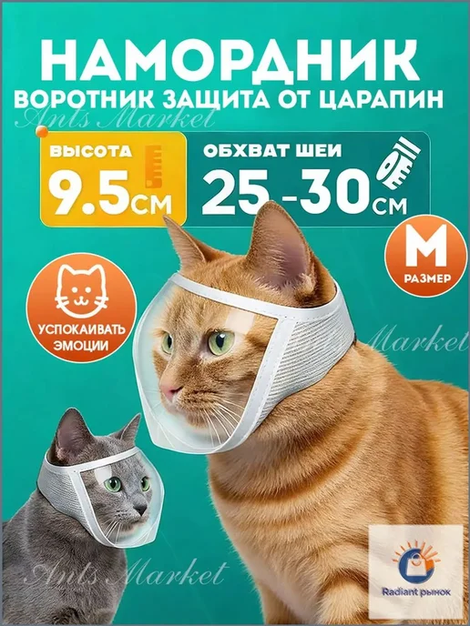 Ветеринарная прозрачная маска для кошек, размер M, вариант