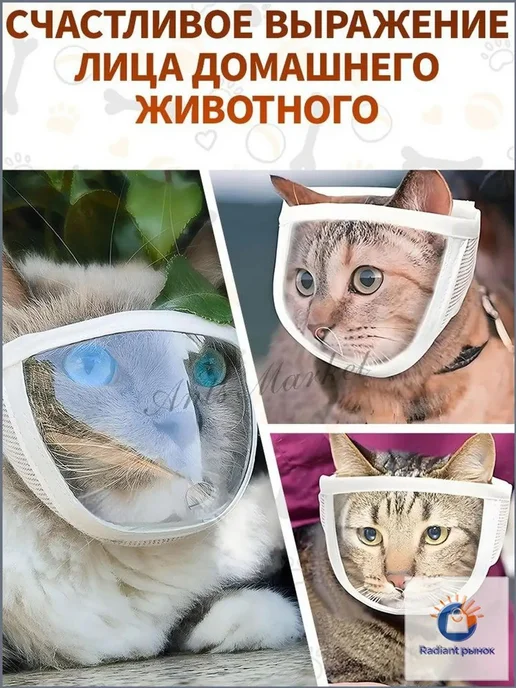 Ветеринарная прозрачная маска для кошек, размер M, вариант, фото 5